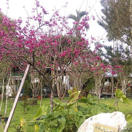Sun Moon Lake Wild Flower Acomodação com café da manhã Yuchi Exterior foto