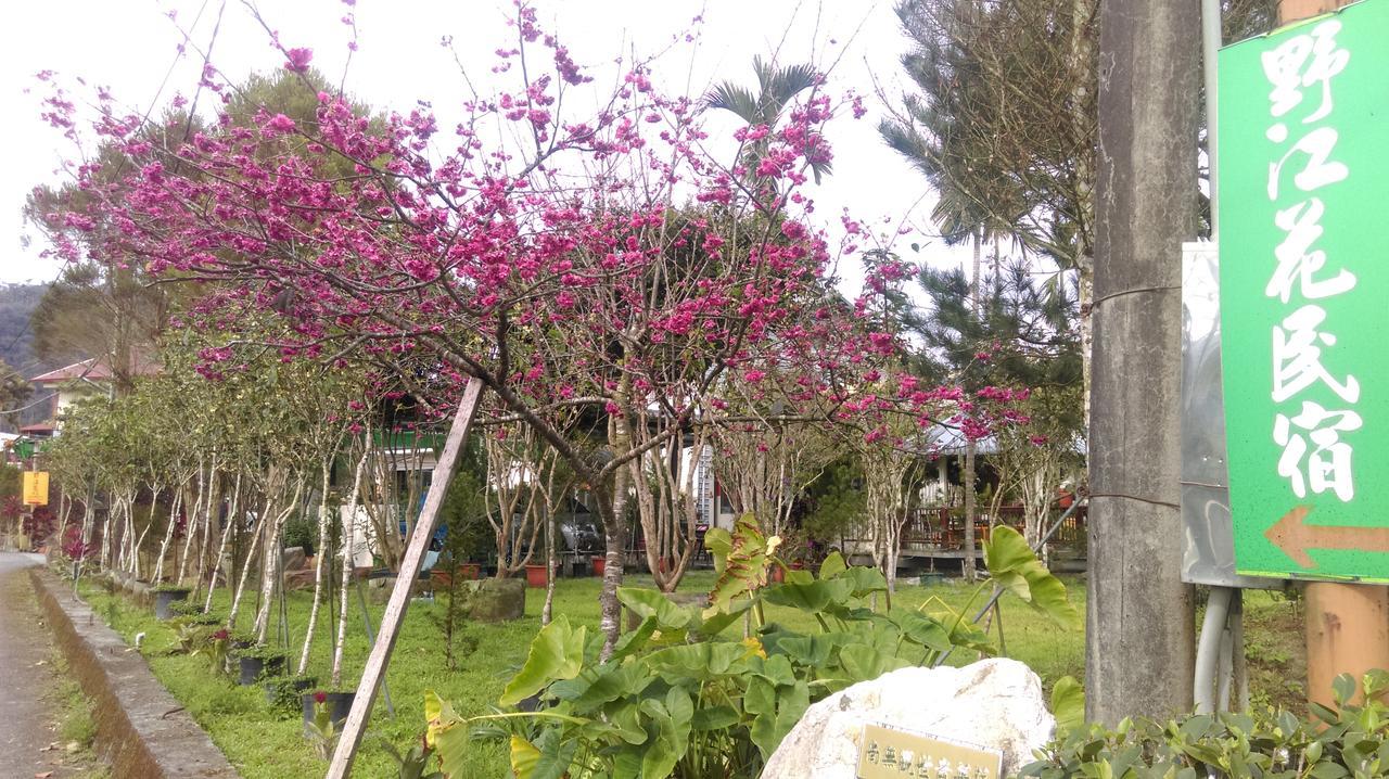 Sun Moon Lake Wild Flower Acomodação com café da manhã Yuchi Exterior foto